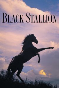 Black Stallion [HD] (1979)