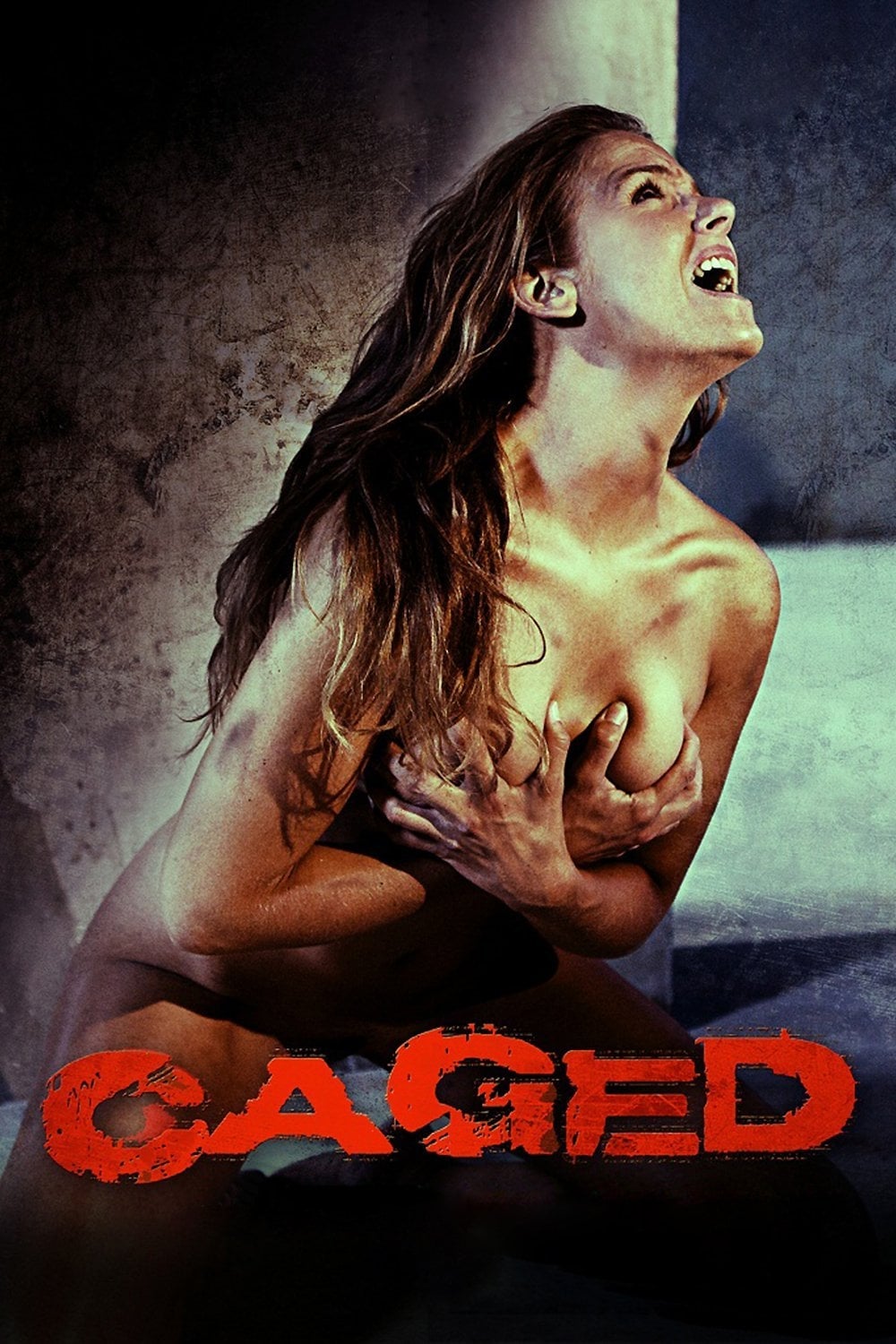 Caged [Sub-ITA] (2010)