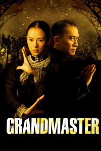 The Grandmaster [HD] (2013)