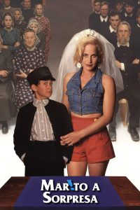 Marito a sorpresa [HD] (1994)