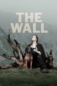 The Wall [Sub-ITA] (2012)