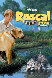 Rascal, l’orsetto lavatore (1969)