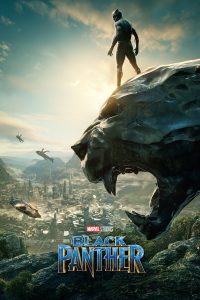Black Panther [HD/3D] (2018)
