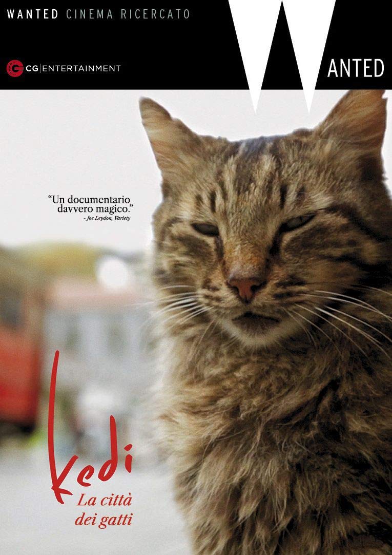 Kedi – La città dei gatti [HD] (2018)